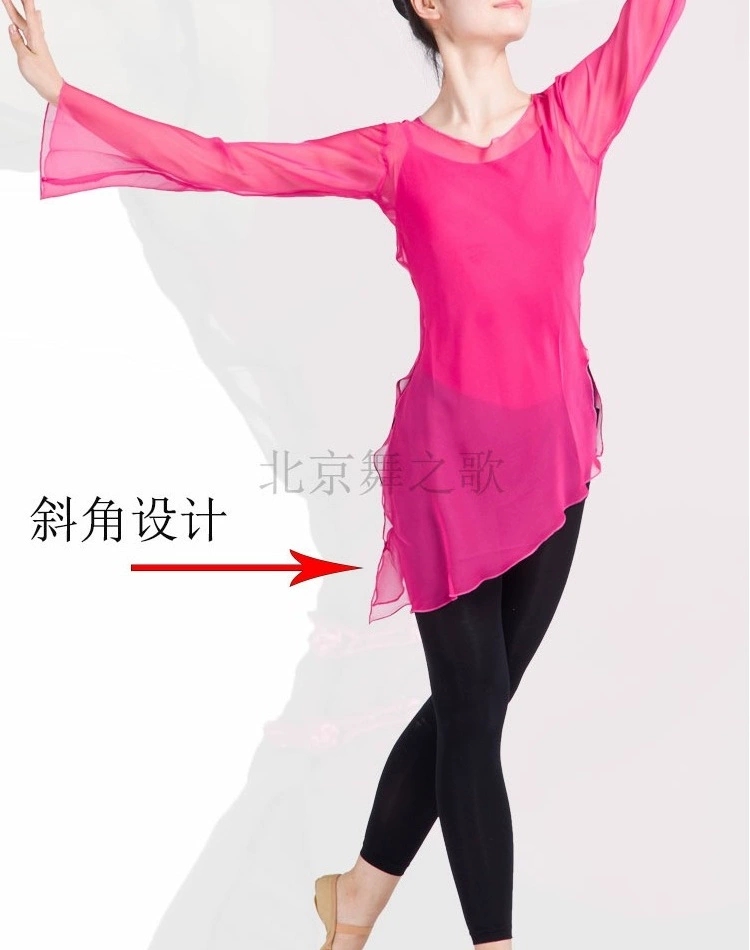古典舞练功服女成人芭蕾舞形体服舞蹈服套装舞蹈纱衣网纱上衣