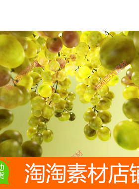 Unity Subsurface Scattering Shader 2022.1 次表面散射着色器