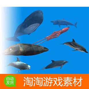 Unity3d Rigged Sea Animals 2.0海洋生物鲸鱼海豚大白鲨模型素材