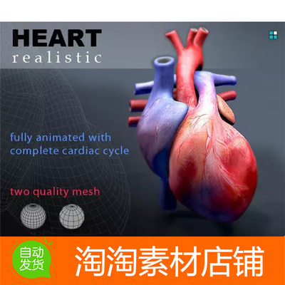 Unity3d Heart Animated Realistic 1.0 心脏运动模型素材动画