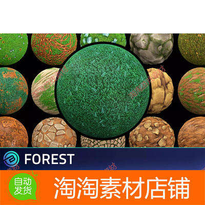 Unity Stylized Forest Textures - RPG Environment 1.0森林纹理