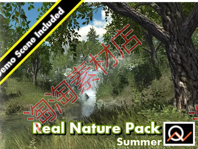 Unity3d Real Nature Pack Summer 真实自然环境包：夏天