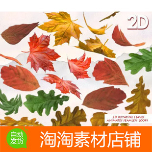 Unity3d 2D Leaves v1.1 树叶落叶子粒子特效