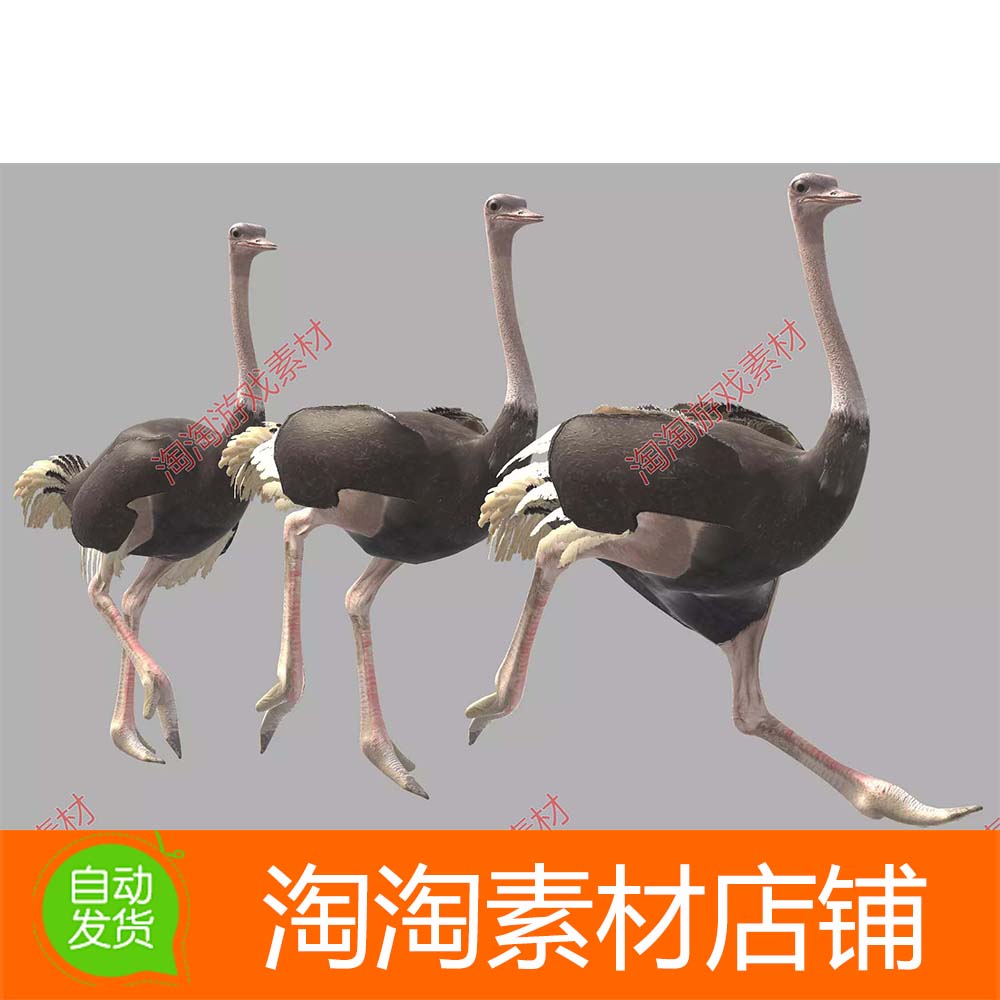 Unity3d Ostrich 1.0 鸵鸟动物带动画动作写实模型角色