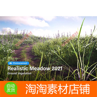 Unity Realistic Meadow 2021 Ground Vegetation 2021.0.1 植物