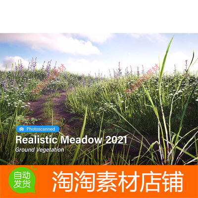 Unity Realistic Meadow 2021 Ground Vegetation 2021.0.1 植物