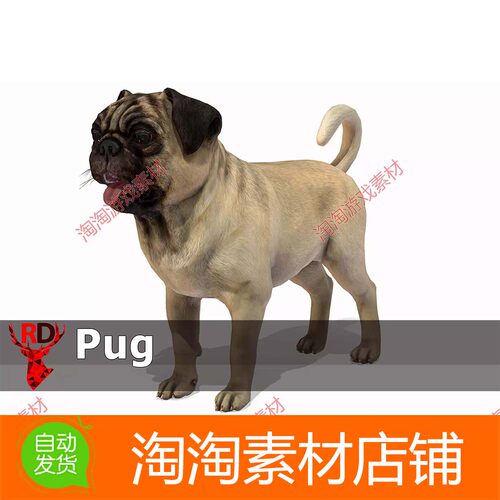 Unity3d Dog - Pug 1.0 写实可爱狗犬dog动物带动画模型