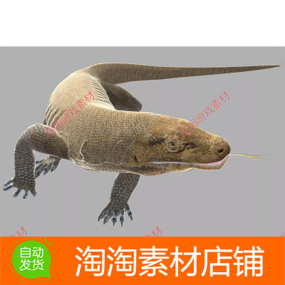 Unity3d Komodo dragon 1.1 科莫多巨蜥动物怪兽蜥蜴模型