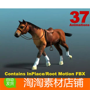 Unity Horse - Shetland Hanoverian 4.5.2 哺乳动物马匹模型动画