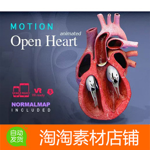 开放式 Unity3d 心脏解剖 1.0 open 详细和动画化 Heart Motion