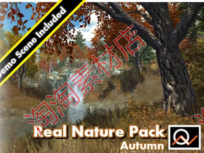 Unity3d Real Nature Pack 2 Autumn 真实环境自然包：秋天