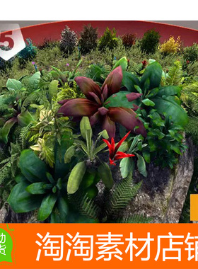 Unity3d Yughues Bushes Weeds v2 1.0 自然植物杂草花模型素材包