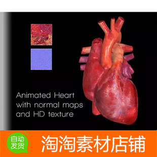 Unity3d Heart Animated 1.0.1 写实心脏模型素材带动画