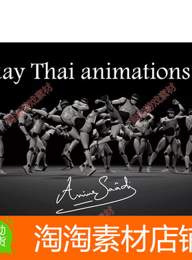 Unity3d Combat animations - Kickboxing and Muay Thai V2 1.0