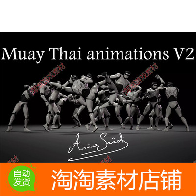 Unity3d Combat animations - Kickboxing and Muay Thai V2 1.0