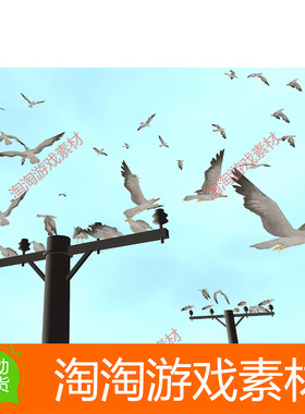 Unity3d Bird Flock: Seagull 2.4.2 鸟类海鸥模型素材资源