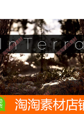 Unity InTerra Shaders for Terrain its Objects 3.4.0 着色器