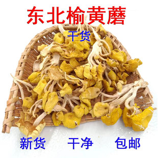 榆黄蘑干货 东北特产非野生玉黄蘑 鸡油菌新货黄丝菌蘑煲汤 蘑菇