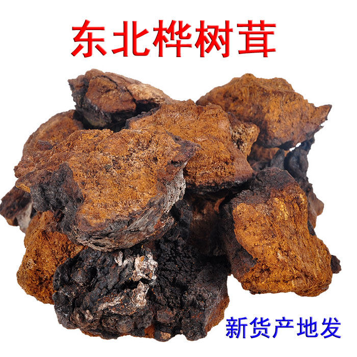 桦树茸东北长白山白桦茸泪桦褐孔菌桑黄茶原料非俄罗斯大块小块粉