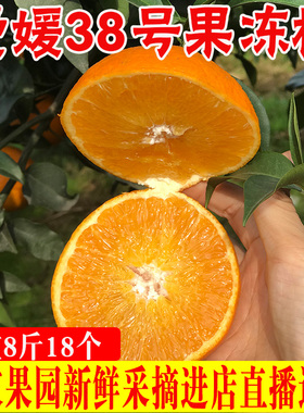 爱媛果冻橙新鲜柑橘8斤18个左右新鲜水果爱媛橙果冻橙四川浦江
