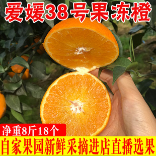 爱媛果冻橙新鲜柑橘8斤18个左右新鲜水果爱媛橙果冻橙四川浦江