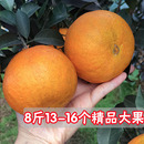 包邮 四川爱媛38号果冻橙8斤新鲜橙子当季 水果柑橘蜜桔子整箱大果