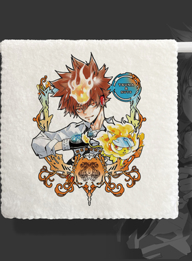 漫能家庭教师HITMAN REBORN!毛巾亲肤日系彭格列家族泽田纲吉周边