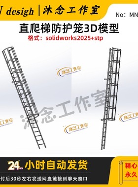 GB标准直爬梯防护笼3D模型solidworks2025建模可编辑含stp格式