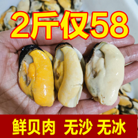 鲜活青口贝肉冷冻海虹肉贻贝肉可做猫饭狗饭猫食58元2斤顺丰包邮