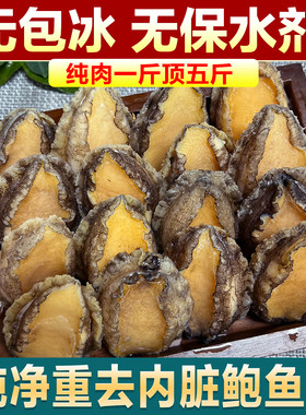 新鲜无包冰纯净重鲍鱼肉