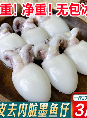 墨鱼仔新鲜冷冻小墨鱼无包冰鲜活冷冻乌贼小鱿鱼捞汁小海鲜商用