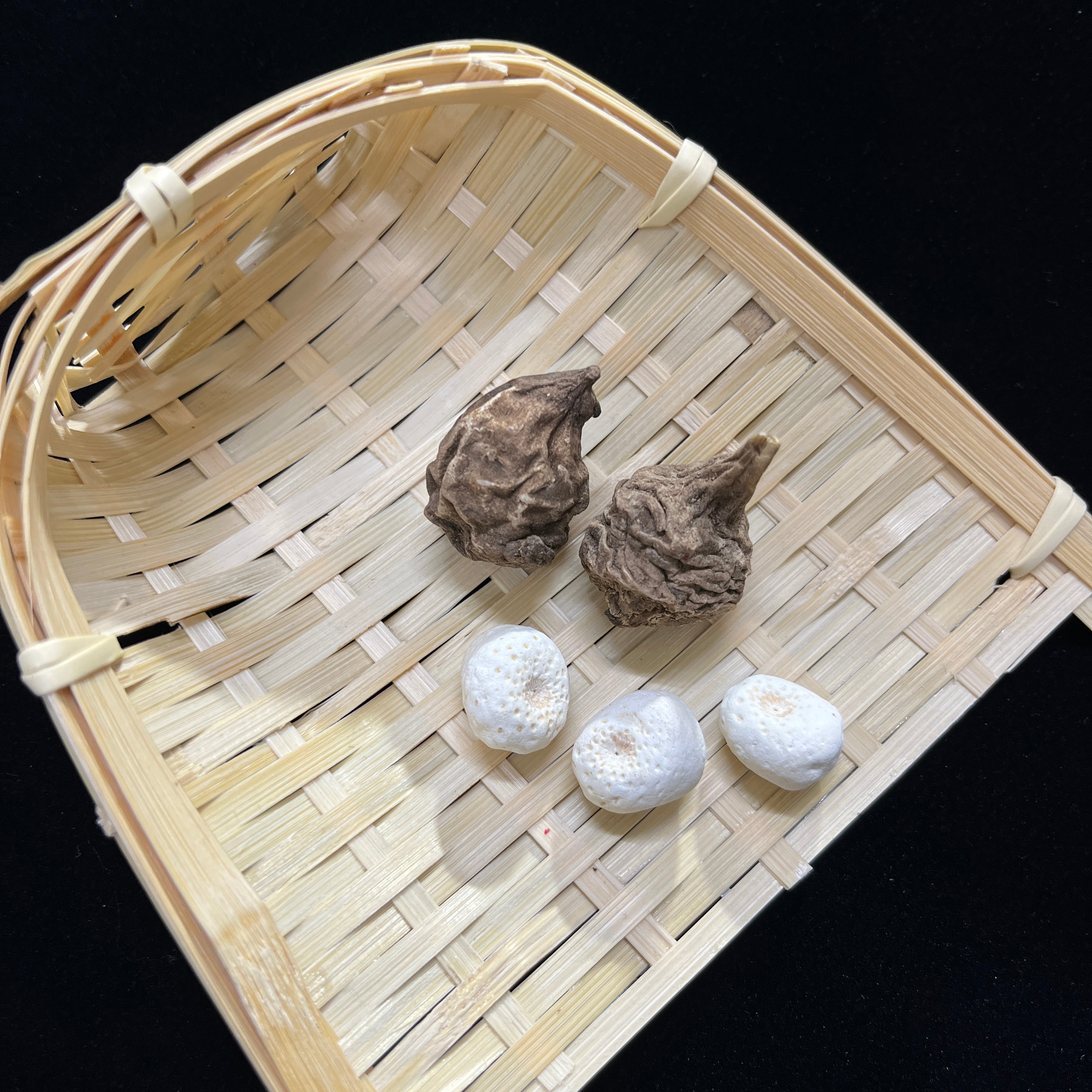 扶阳药材自然生长无施肥无科技砂土炮制