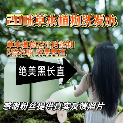侧柏叶洗发水手工熬制当归皂角28味草本植物超浓缩B站三好先生761