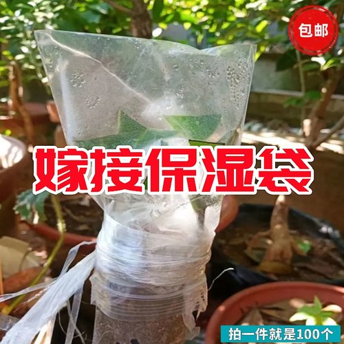 嫁接保湿袋专用套袋套管保鲜膜
