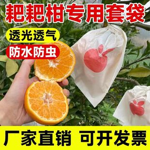 耙耙柑套袋专用袋春见红美人柑橘果袋不知火丑橘脐橙水果套袋神器