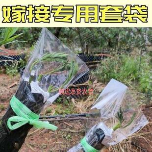 袋高硬度套袋风园艺袋膜抗风雨直立强 嫁接专用套袋嫁接密封袋保湿