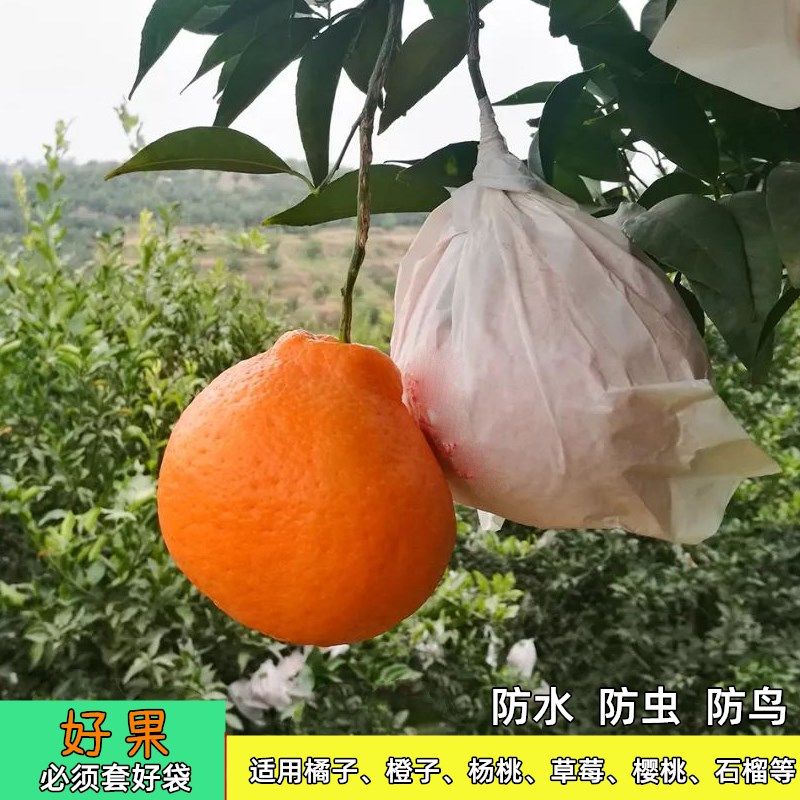柑橘套袋石榴春见耙耙柑脐橙子袋