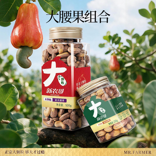 新农哥A160大颗粒紫衣腰果