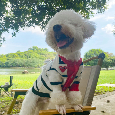 工厂货源宠物秋冬保暖潮牌毛衣狗狗泰迪猫咪博美衣服跨境好物