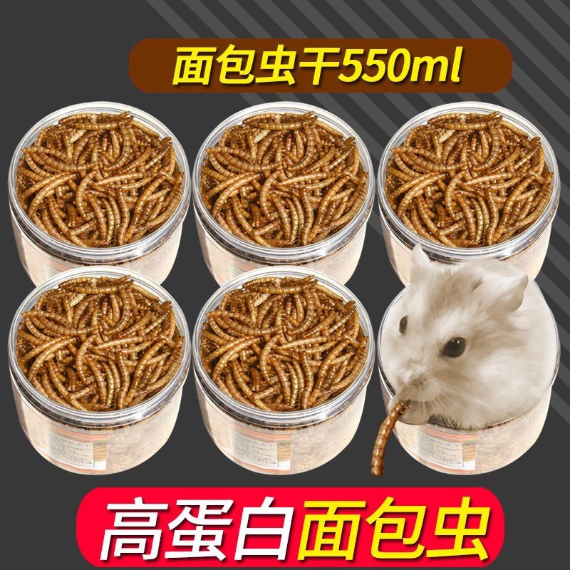 面包虫干小仓鼠粮食金丝熊零食营养饲料乌龟主粮黄粉虫干宠物食物,宠物/宠物食品及用品,龙猫,淘宝优惠券,粉丝福利购,淘宝优惠卷