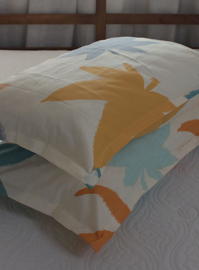 纯棉拉链枕套一对100%全棉枕头套单人40X60儿童30X50卡通48X74cm