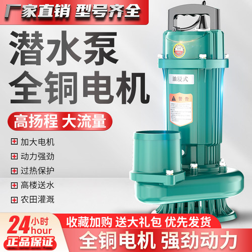 人民款大流量潜水泵220v全铜电机