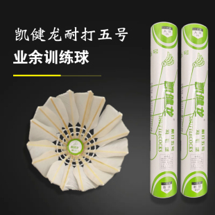 12只凯健龙耐打一号四号五号羽毛球教学业余比赛训练口粮球