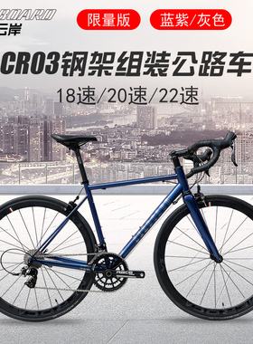 Seaboard云岸CR03组装车700C弯把公路自行车顺泰22S速变速器套件