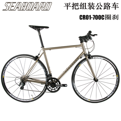 云岸CR01平把20速组装公路自行车