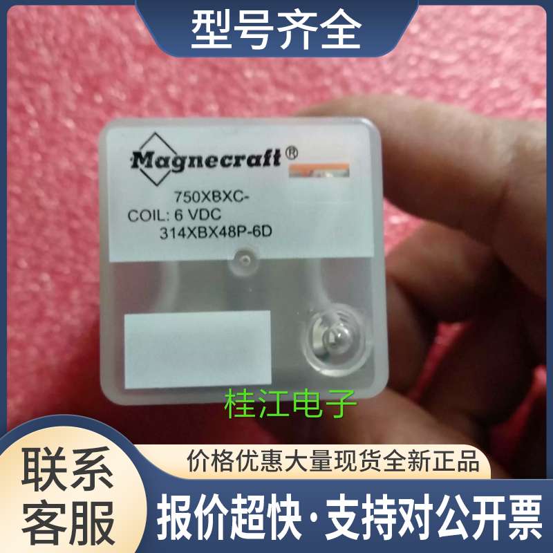 Magnecraft 750XBXC-6VDC ; 314XBX48P-6D 正品 拍前先询议价 - 实物图