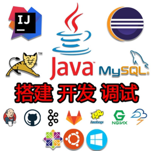 环境搭建 软件调试 远程协助 数据库安装 java项目部署