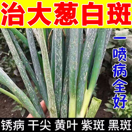 大葱白斑病小葱病药专用杀菌病全治预防急救锈病黄叶干尖灵黑斑病