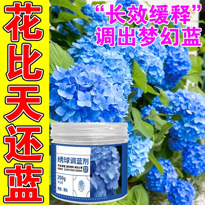 绣球花调蓝剂硫酸铝无尽夏专用调色剂染色变蓝缓释颗粒专用肥料药