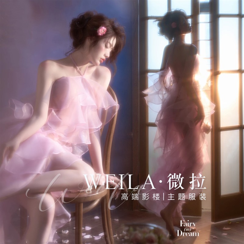 2024新款仙女写真主题服装紫色透视纱裙唯美清新私房艺术照摄影服